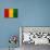 Guinea Flag Design with Wood Patterning - Flags of the World Series-Philippe Hugonnard-Stretched Canvas displayed on a wall