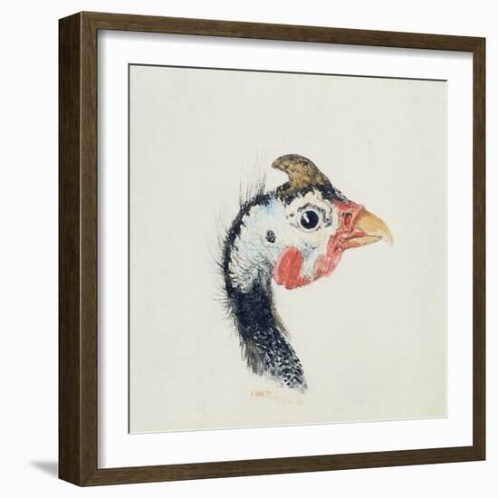 Guinea Fowl, from the Farnley Book of Birds, C.1816-JMW Turner-Framed Giclee Print