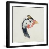 Guinea Fowl, from the Farnley Book of Birds, C.1816-JMW Turner-Framed Giclee Print