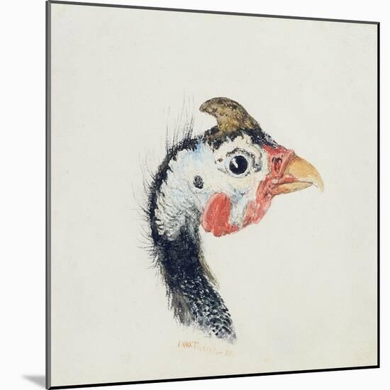 Guinea Fowl, from the Farnley Book of Birds, C.1816-JMW Turner-Mounted Giclee Print