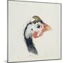 Guinea Fowl, from the Farnley Book of Birds, C.1816-JMW Turner-Mounted Giclee Print