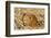 Guinea Pig (Cavia porcellus) adult, close-up of head amongst straw-Gary Smith-Framed Photographic Print