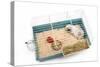 Guinea Pig in Cage in Studio-null-Stretched Canvas