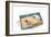 Guinea Pig in Cage in Studio-null-Framed Photographic Print