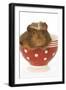 Guinea Pig in Red and White Spotted Bowl-null-Framed Photographic Print