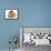 Guinea Pig in Studio Wearing Christmas Hat-null-Framed Stretched Canvas displayed on a wall