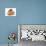 Guinea Pig in Studio Wearing Christmas Hat-null-Photographic Print displayed on a wall