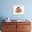 Guinea Pig in Studio Wearing Christmas Hat-null-Framed Photographic Print displayed on a wall