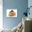Guinea Pig in Studio Wearing Christmas Hat-null-Mounted Photographic Print displayed on a wall