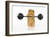 Guinea Pig Lifting Weights-null-Framed Photographic Print