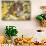 Guinea Pig on Gourds in Grass, Higganum, Connecticut, USA-Lynn M^ Stone-Photographic Print displayed on a wall