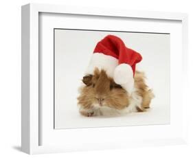 Guinea-Pig Wearing a Father Christmas Hat-Mark Taylor-Framed Photographic Print