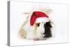Guinea Pig Wearing Christmas Hat-null-Stretched Canvas