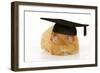 Guinea Pig Wearing Glasses and Mortar Board-null-Framed Photographic Print