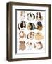 Guinea Pigs In Glasses-Hanna Melin-Framed Art Print