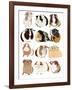 Guinea Pigs In Glasses-Hanna Melin-Framed Art Print