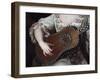 Guitar-Pierre Gobert-Framed Giclee Print