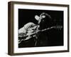 Guitarist John Etheridge Playing at the Stables, Wavendon, Buckinghamshire-Denis Williams-Framed Photographic Print