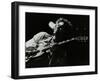 Guitarist John Etheridge Playing at the Stables, Wavendon, Buckinghamshire-Denis Williams-Framed Photographic Print