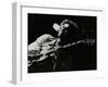 Guitarist John Etheridge Playing at the Stables, Wavendon, Buckinghamshire-Denis Williams-Framed Photographic Print