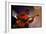 Guitarist Mark Whitfield Playing Large Guitar at MK's-Ted Thai-Framed Giclee Print