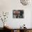 Guitarist Plays Victor Jara Songs at His Grave on 11th De Septiembre, Chile, South America-Aaron McCoy-Photographic Print displayed on a wall