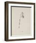 Guittara Pensilis. Illustration From Nonsense Botany by Edward Lear, Published in 1889.-Edward Lear-Framed Giclee Print