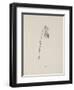 Guittara Pensilis. Illustration From Nonsense Botany by Edward Lear, Published in 1889.-Edward Lear-Framed Giclee Print