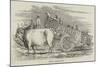 Gujerat Village-Cart-null-Mounted Giclee Print
