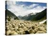 Gujjar Nomadic Shepherds Herd Their Sheep on the Outskirts of Srinagar, India-null-Stretched Canvas