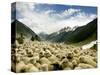 Gujjar Nomadic Shepherds Herd Their Sheep on the Outskirts of Srinagar, India-null-Stretched Canvas