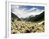 Gujjar Nomadic Shepherds Herd Their Sheep on the Outskirts of Srinagar, India-null-Framed Photographic Print