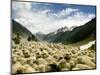 Gujjar Nomadic Shepherds Herd Their Sheep on the Outskirts of Srinagar, India-null-Mounted Photographic Print