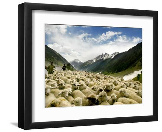 Premium Photographic Print, , large