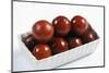 Gulab Jamun-WITTY-Mounted Photographic Print