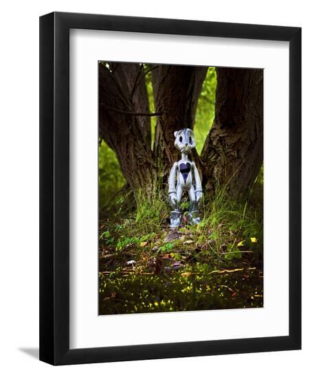 Photographic Print, , large