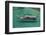 Gulet in Paradise Cove (Ilica Buku), Bodrum, Mugla, Turkey-Ali Kabas-Framed Photographic Print