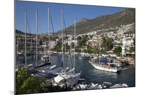 Gulets in Harbour, Kalkan, Lycia-Stuart Black-Mounted Photographic Print