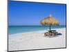 Gulf Coast Beach, Longboat Key, Florida, USA-Fraser Hall-Mounted Photographic Print