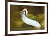 Gulf Coast Ribbon Snake (Thamnophis Proximus Orarius) Laredo Borderlands, Texas, USA. April-Claudio Contreras-Framed Photographic Print