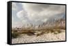 Gulf Coast State Park-Richard T. Nowitz-Framed Stretched Canvas