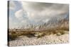 Gulf Coast State Park-Richard T. Nowitz-Stretched Canvas