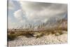 Gulf Coast State Park-Richard T. Nowitz-Stretched Canvas