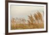 Gulf Coast State Park-Richard T. Nowitz-Framed Photographic Print