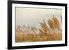 Gulf Coast State Park-Richard T. Nowitz-Framed Photographic Print