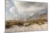 Gulf Coast State Park-Richard T. Nowitz-Mounted Photographic Print