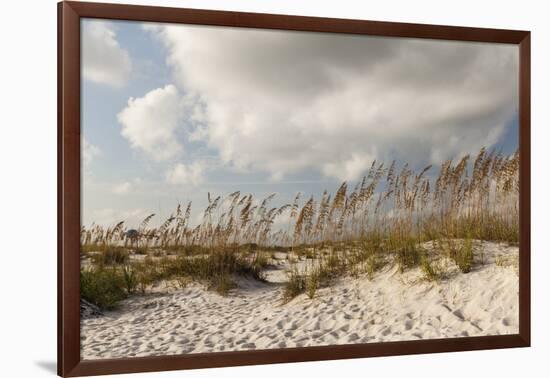 Gulf Coast State Park-Richard T. Nowitz-Framed Photographic Print