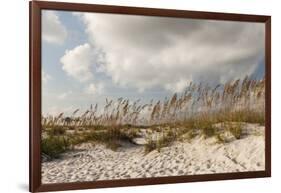 Gulf Coast State Park-Richard T. Nowitz-Framed Photographic Print