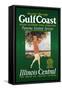 Gulf Coast-Paul Proehl-Framed Stretched Canvas