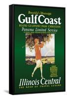 Gulf Coast-Paul Proehl-Framed Stretched Canvas